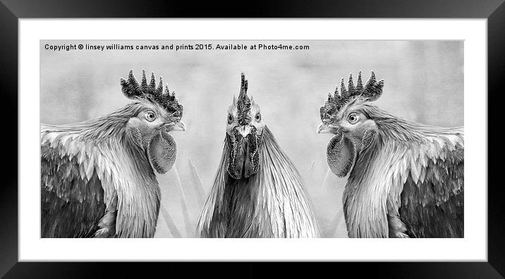  Hens, GULP!! Mono Framed Mounted Print by Linsey Williams