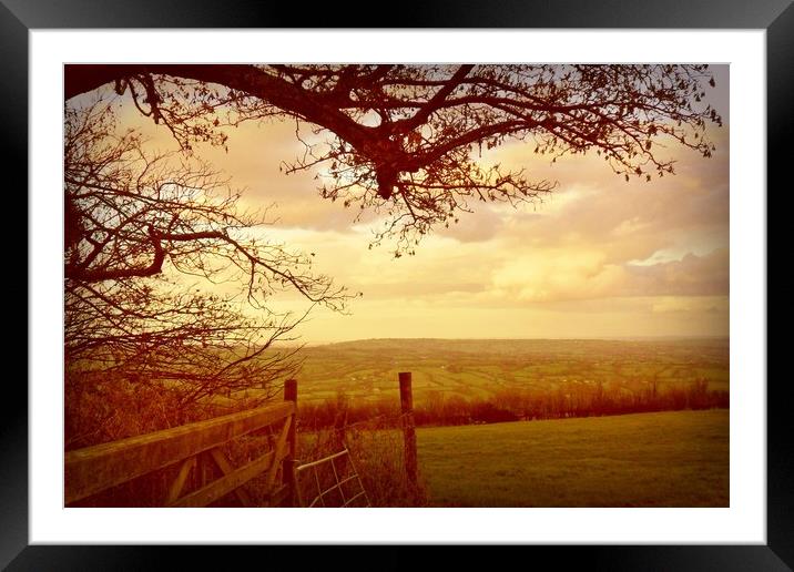  Looking  Across Blagdon. Framed Mounted Print by Heather Goodwin