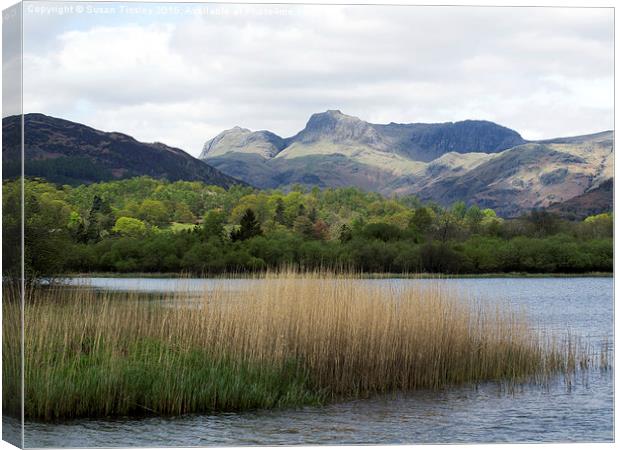 Langdale Pikes Canvas Print by Susan Tinsley
