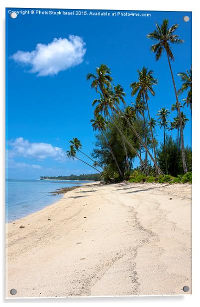 Cook islands, New Zealand, Acrylic by PhotoStock Israel