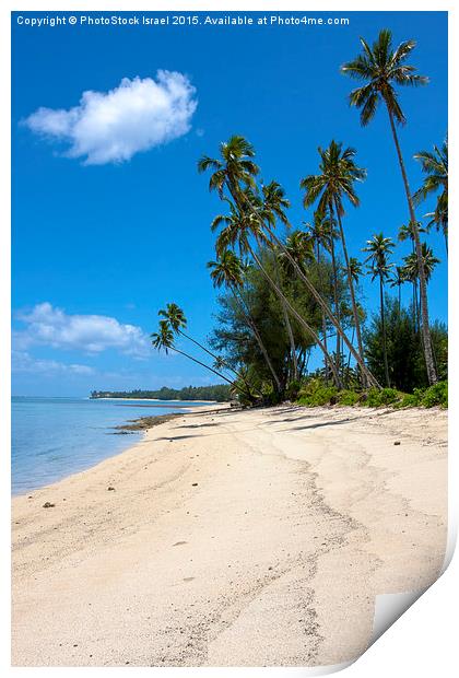 Cook islands, New Zealand, Print by PhotoStock Israel