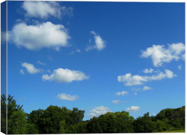 Fair weather Cumulus Canvas Print by Chris Day
