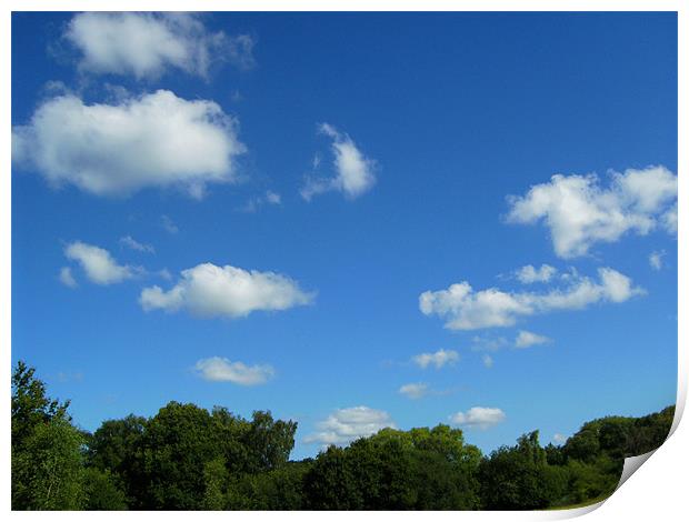 Fair weather Cumulus Print by Chris Day