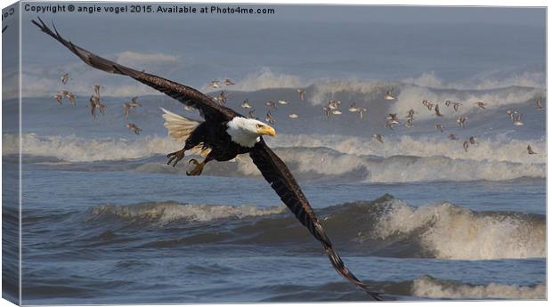  Flying Through the Surf Canvas Print by angie vogel