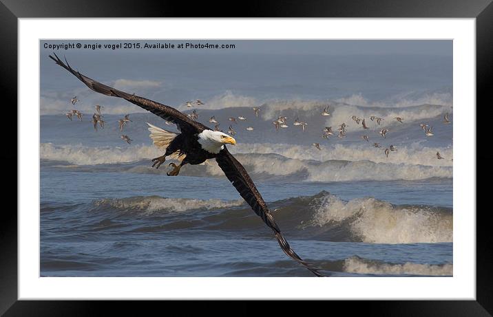  Flying Through the Surf Framed Mounted Print by angie vogel