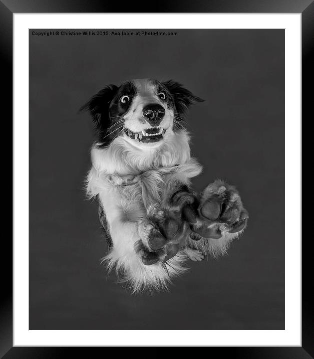  High Five Framed Mounted Print by Christine Johnson