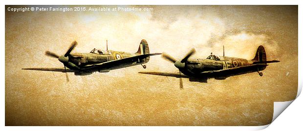  Spitfires On The Hunt Print by Peter Farrington
