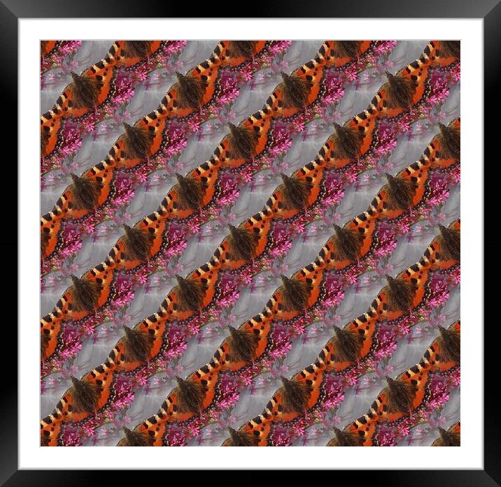  Tortoiseshell Butterfly Pattern Framed Mounted Print by Malcolm Snook