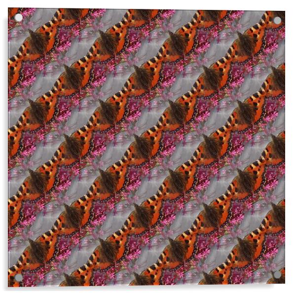  Tortoiseshell Butterfly Pattern Acrylic by Malcolm Snook