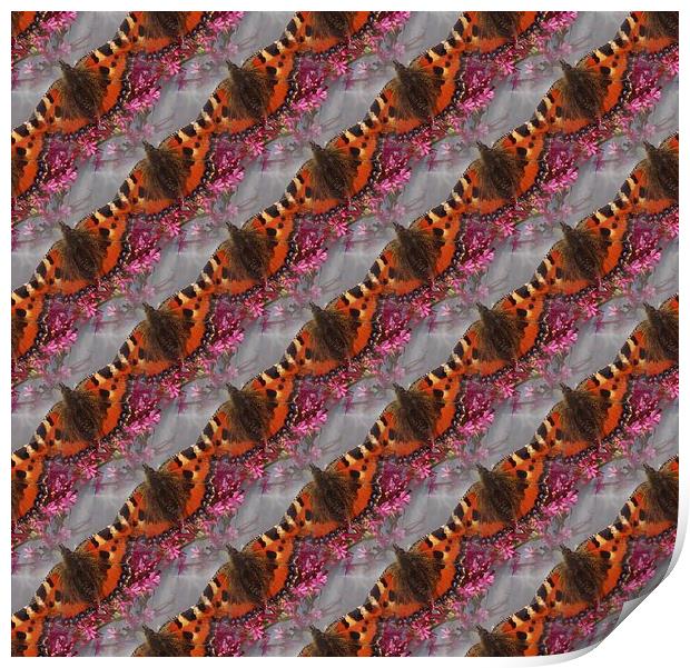  Tortoiseshell Butterfly Pattern Print by Malcolm Snook