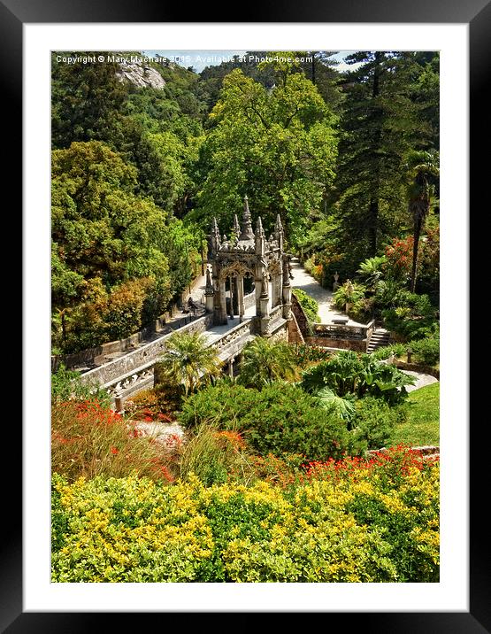 The Gardens of Quinta da Regaleira  Framed Mounted Print by Mary Machare