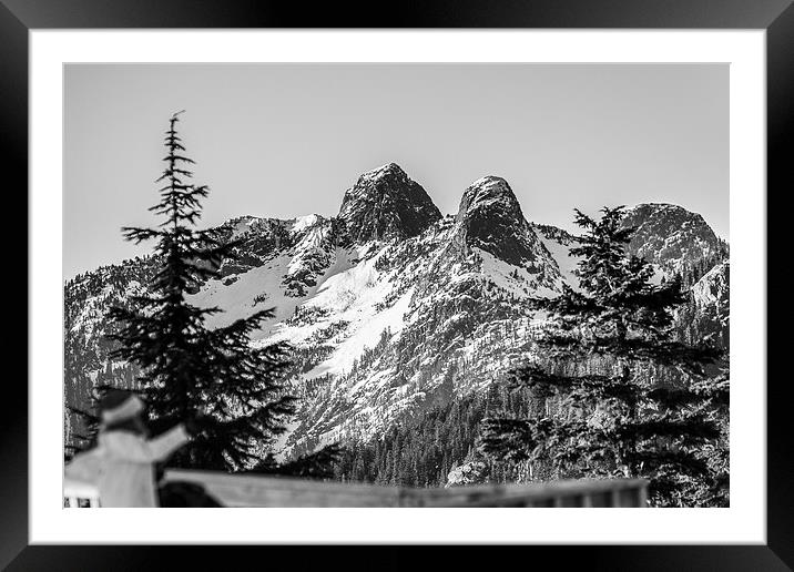 Twin Peaks Framed Mounted Print by Ray Shiu