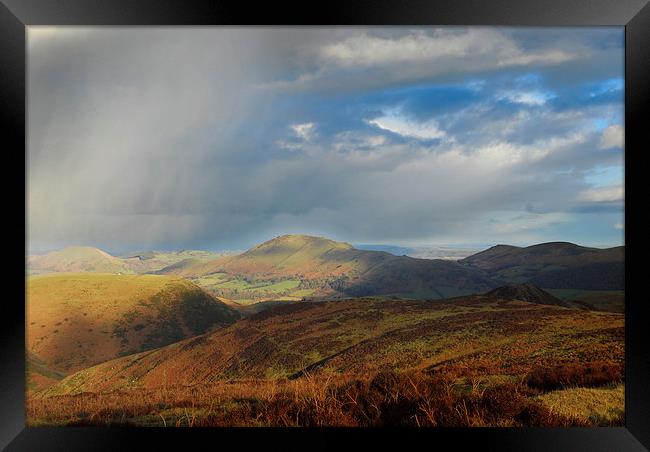 The Long Mynd Framed Print by Carol Young