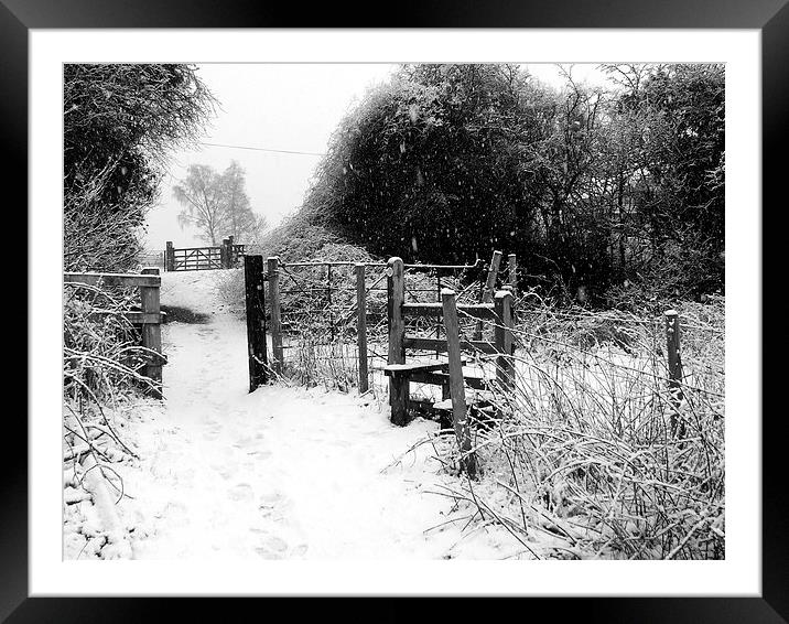  Winter Gate Framed Mounted Print by Carol Young