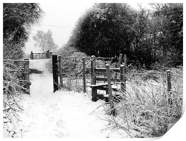  Winter Gate Print by Carol Young