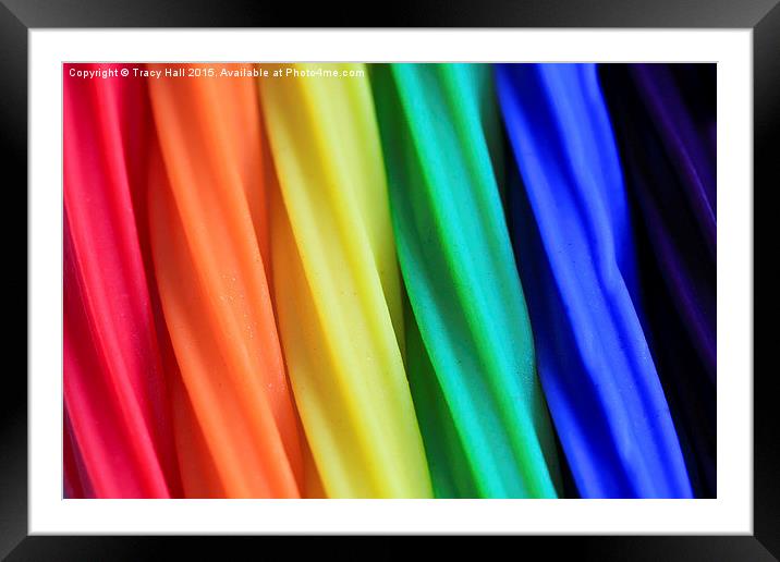  Over The Rainbow Framed Mounted Print by Tracy Hall