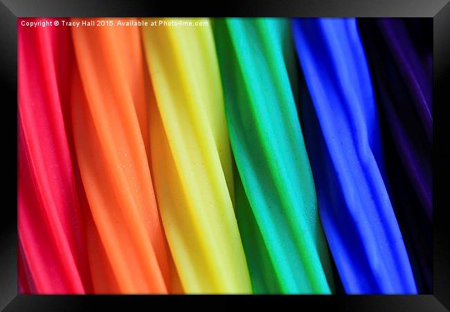  Over The Rainbow Framed Print by Tracy Hall