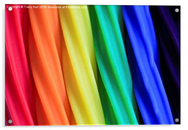  Over The Rainbow Acrylic by Tracy Hall