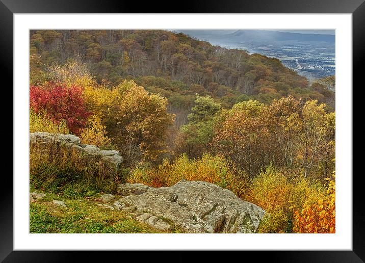  Small Piece Of Fall Framed Mounted Print by Tom and Dawn Gari