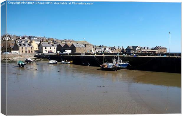  Harbour Low Tide Canvas Print by Adrian Shead