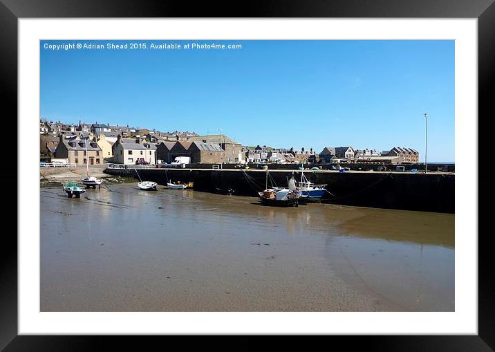  Harbour Low Tide Framed Mounted Print by Adrian Shead