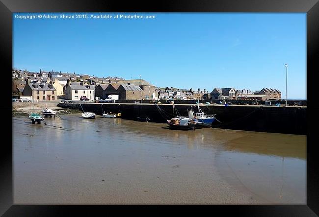  Harbour Low Tide Framed Print by Adrian Shead