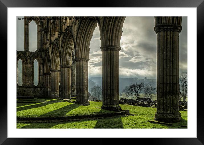 Rievaulx Abbey North Yorkshire Framed Mounted Print by David Oxtaby  ARPS