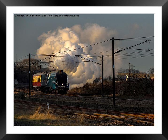 60019 Framed Mounted Print by Colin irwin