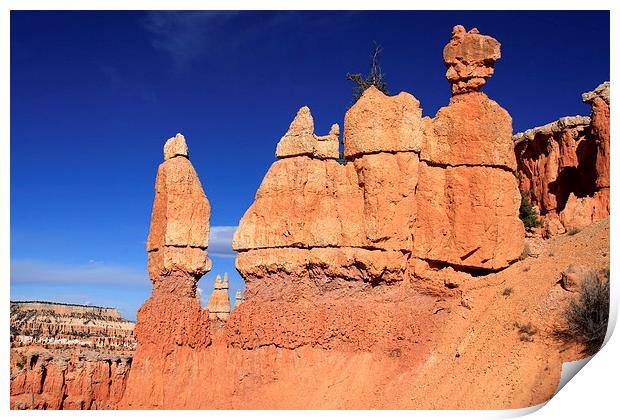  Bryce Canyon Print by Aidan Moran