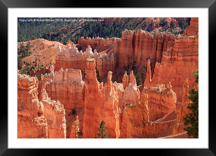 Bryce Canyon Red Rock Framed Mounted Print by Aidan Moran