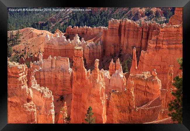  Bryce Canyon Red Rock Framed Print by Aidan Moran