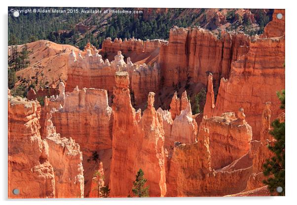  Bryce Canyon Red Rock Acrylic by Aidan Moran