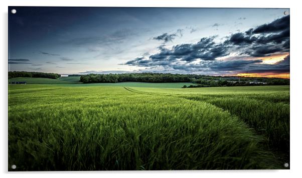 Wheatfields in Kent Acrylic by John Ly