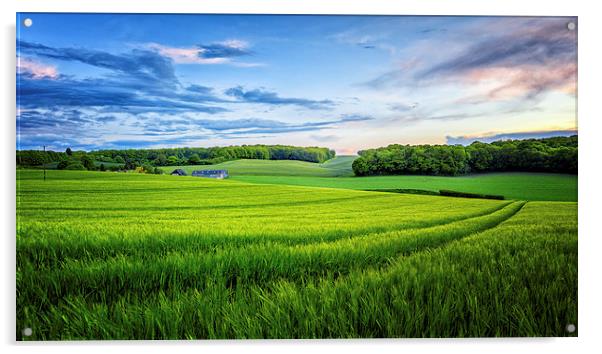  Wheatfields in Kent Acrylic by John Ly