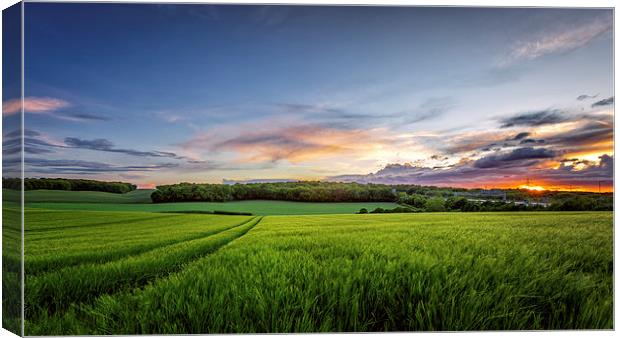 Sunset on Wheatfields in Kent Canvas Print by John Ly