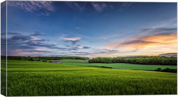  Calm after the storm - wheatfields in Kent, UK Canvas Print by John Ly