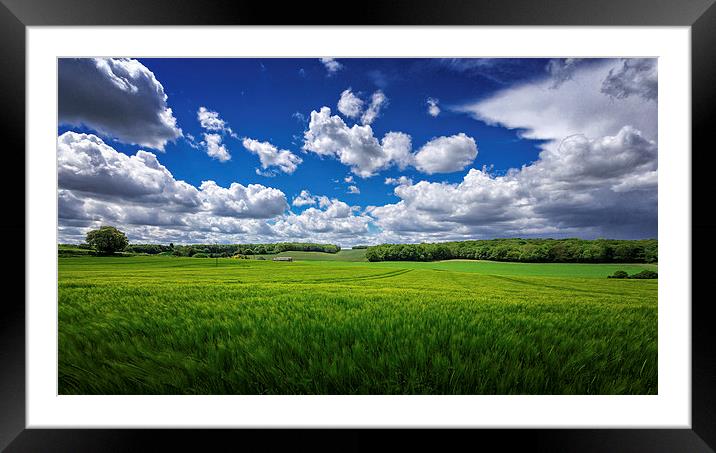 British Countryside - wheatfields in Kent, UK Framed Mounted Print by John Ly