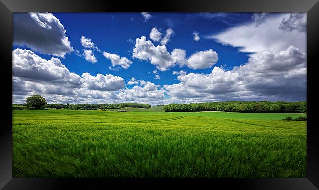 British Countryside - wheatfields in Kent, UK Framed Print by John Ly