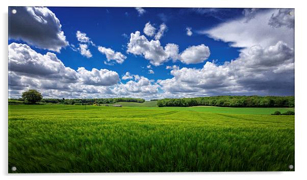 British Countryside - wheatfields in Kent, UK Acrylic by John Ly