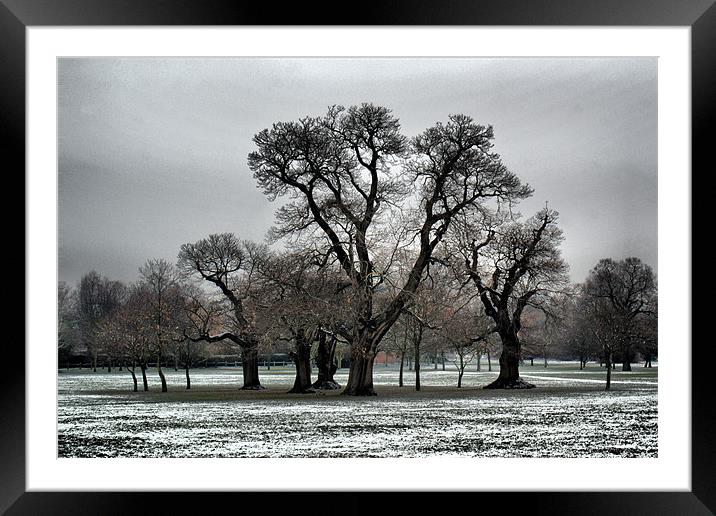 Snowy medows Framed Mounted Print by Dave Windsor