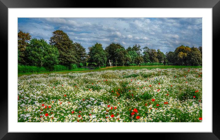 field of dreams Framed Mounted Print by sue davies