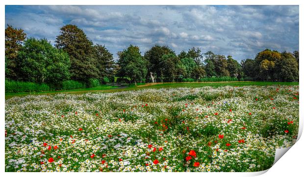 field of dreams Print by sue davies