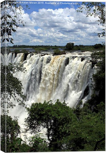  Victoria Falls On The Zambezi River Canvas Print by Aidan Moran