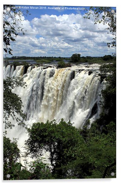  Victoria Falls On The Zambezi River Acrylic by Aidan Moran