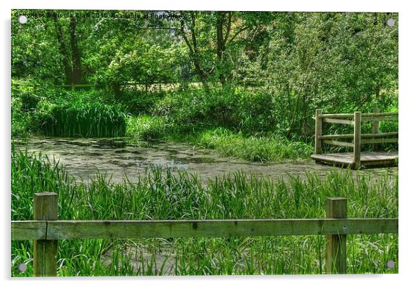 The Pond Acrylic by Nicola Clark