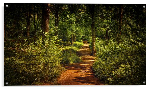  Woodland walk Acrylic by Dean Messenger