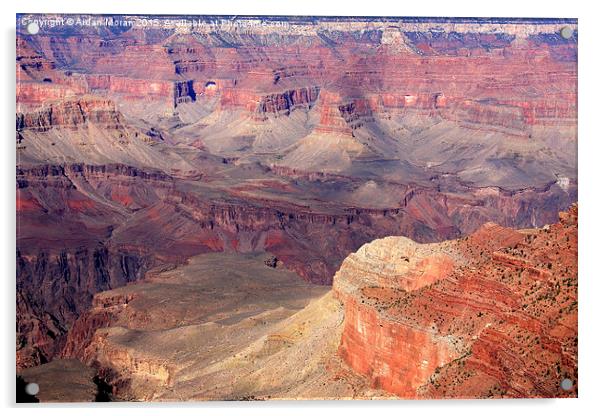  Natural Wonders Of The World Grand Canyon Arizona Acrylic by Aidan Moran
