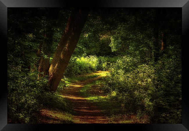  Walking into Sunlight Framed Print by Dean Messenger