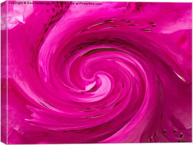  Pink swirl  Canvas Print by Sara Messenger