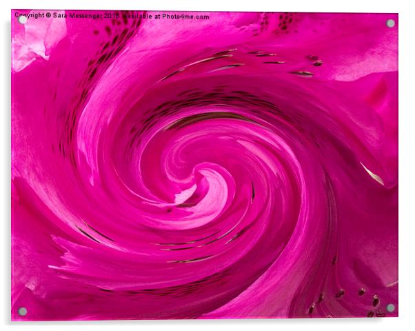  Pink swirl  Acrylic by Sara Messenger